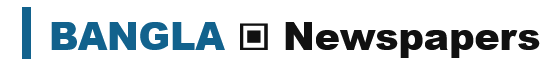 banglanewspapers.net logo